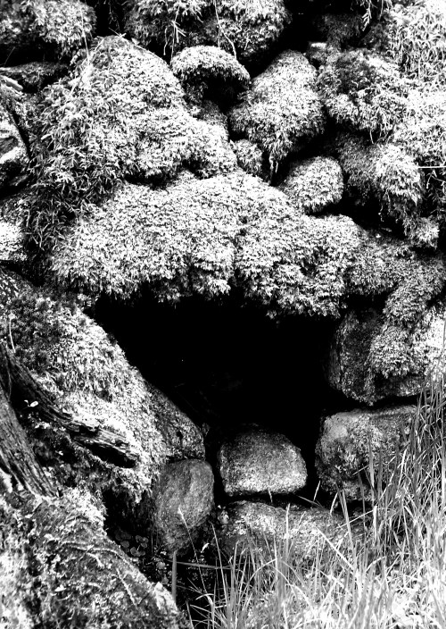 moss cave